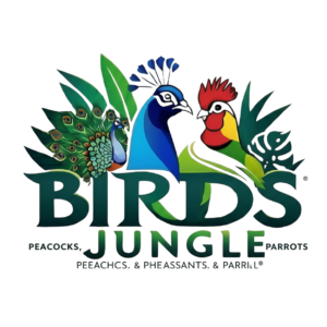 birds jungle