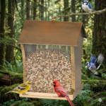 Heavy Duty Metal Wild Bird Feeder 5 LB
