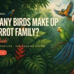how-many-birds-parrot-family