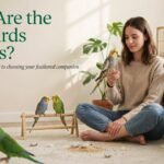 what are the best birds for pets​