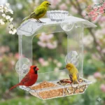 Clear Window Bird Feeder