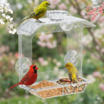 Clear Window Bird Feeder